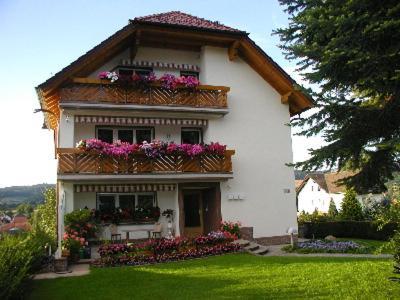 Villa Bellevue Waldkappel Exteriér fotografie